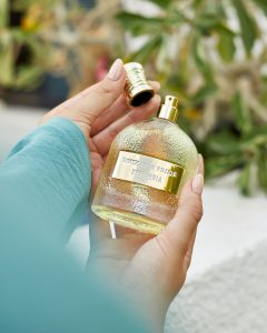 vetiveria perfume
