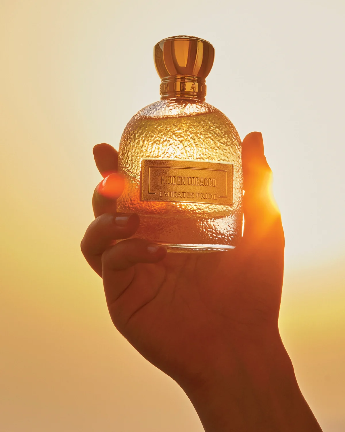 Website Images Perfumes