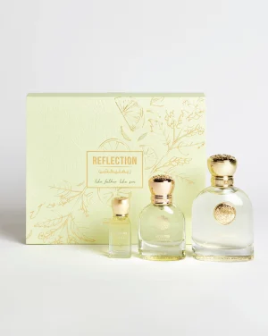 Website Images Reflection
